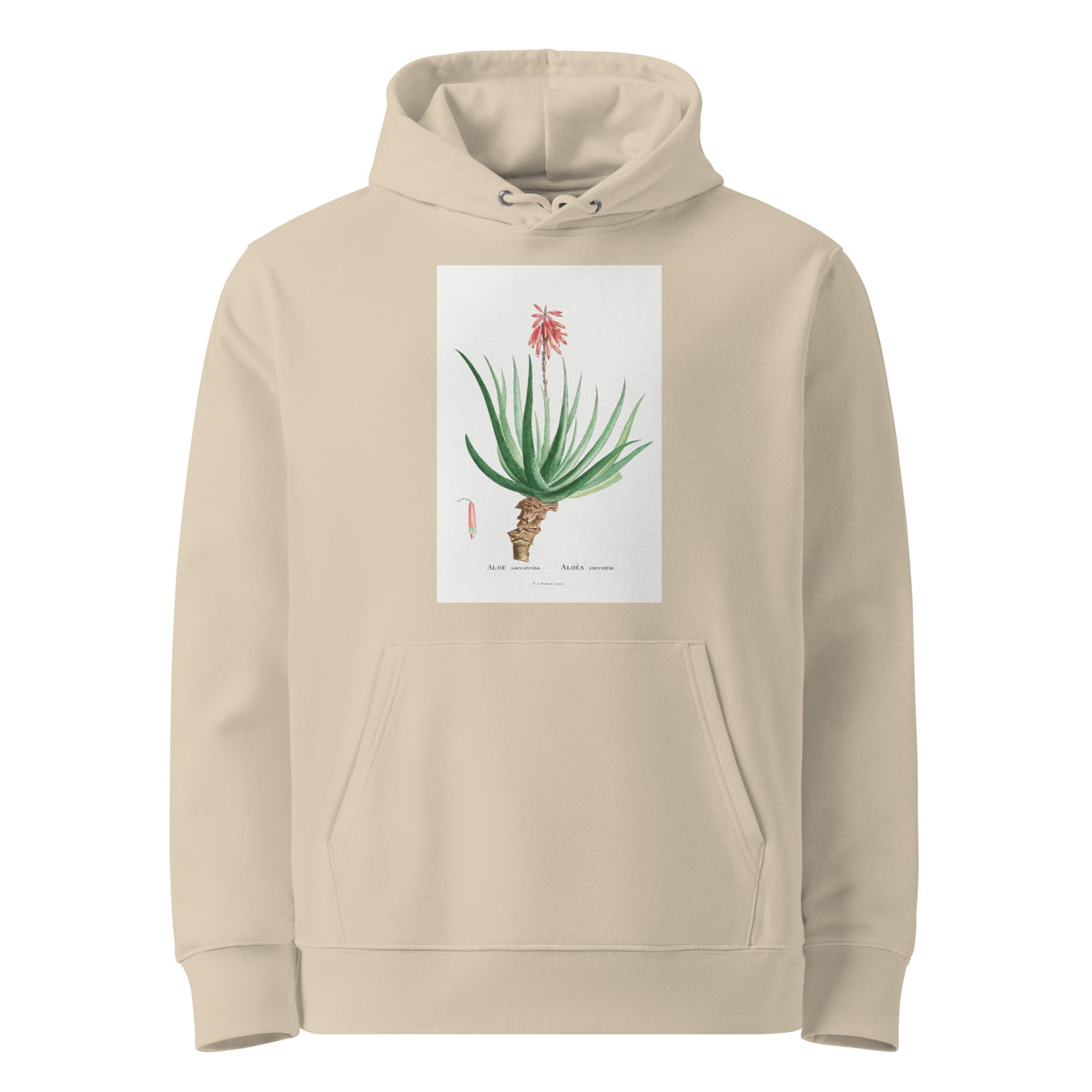 Desert Hoodie Aloe Socotrina Image Premium