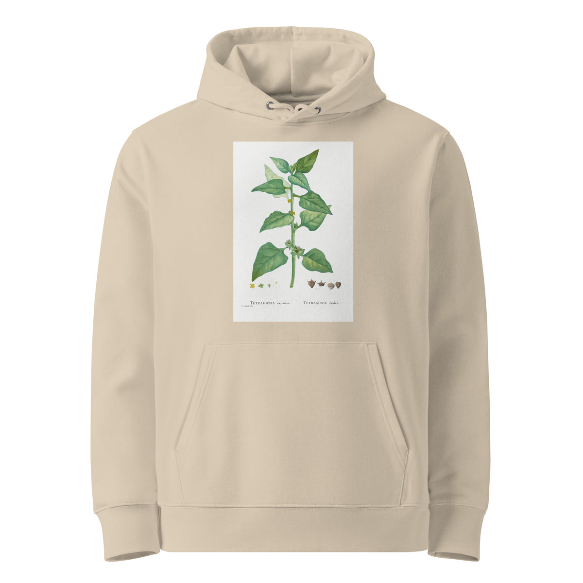 Desert Hoodie Tetragonia Expansa New Zealand Spinach Premium