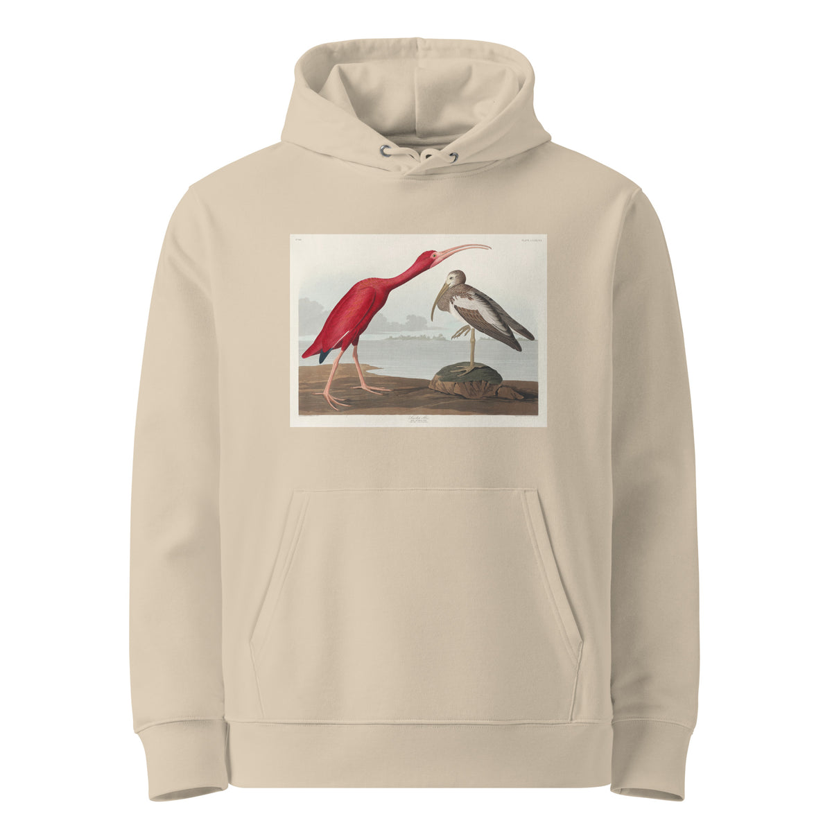 Desert Hoodie Scarlet Ibis - John James Audubon 1827 Premium