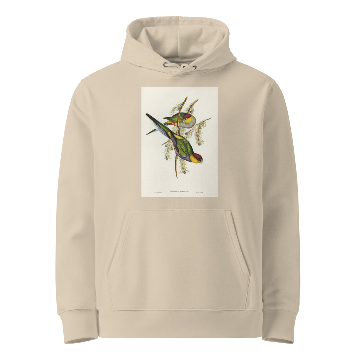 Desert Hoodie Red-Capped Parakeet Platycercus Pileatus Illustrated - Elizabeth Gould 1804 Premium