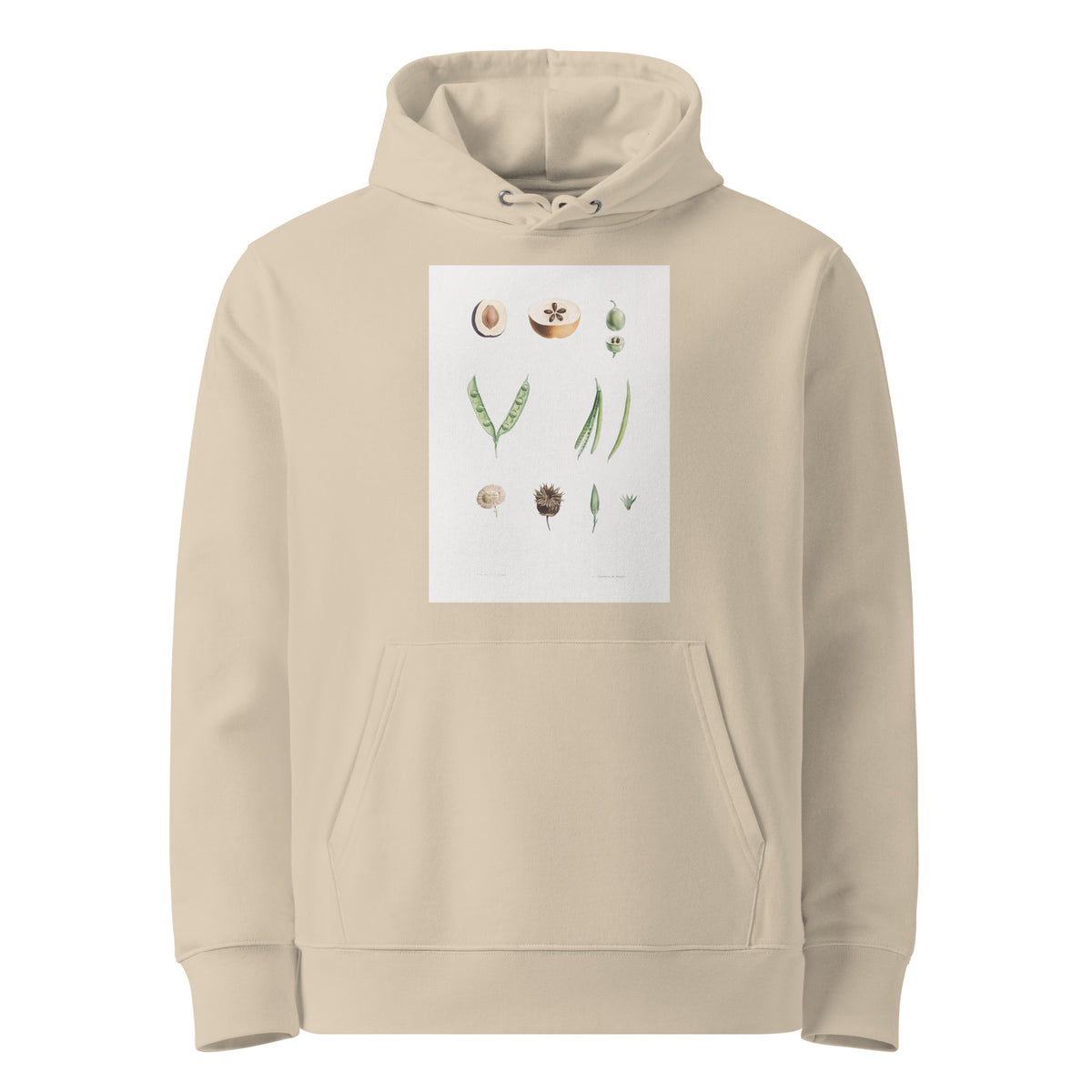 Desert Hoodie Plants Part - Pierre-Joseph Redoute 1759 Premium