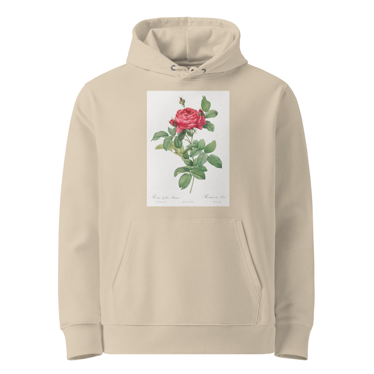 Desert Hoodie Rosa Gallica Pontiana Also Known As Bridge Rose Premium