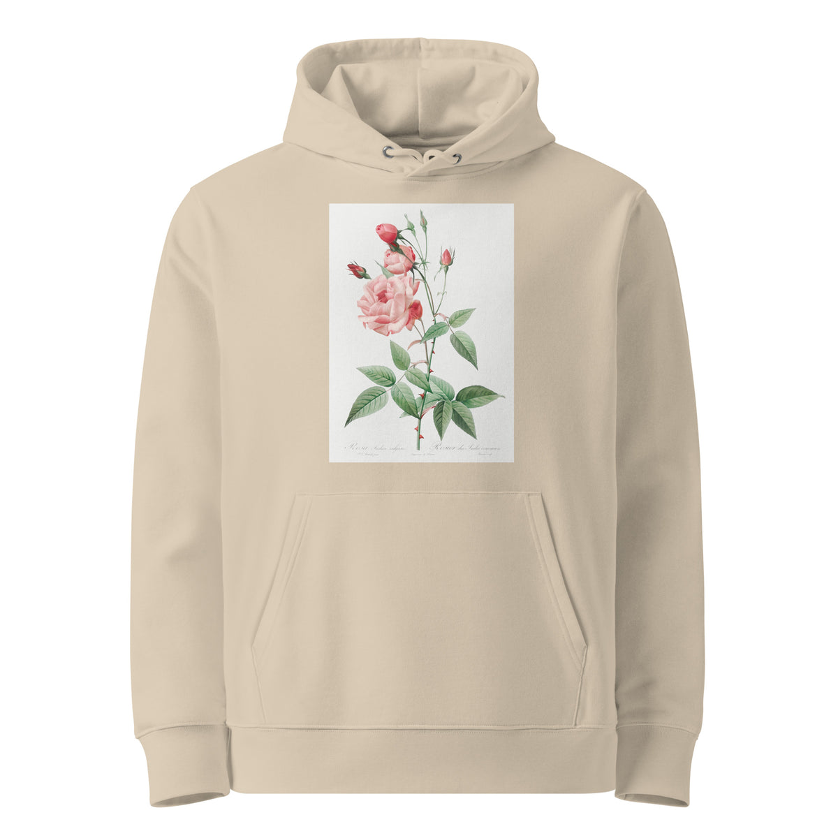 Desert Hoodie Old Blush China Also Known As Common Rose Of India Rosa Indica Vulgaris Premium