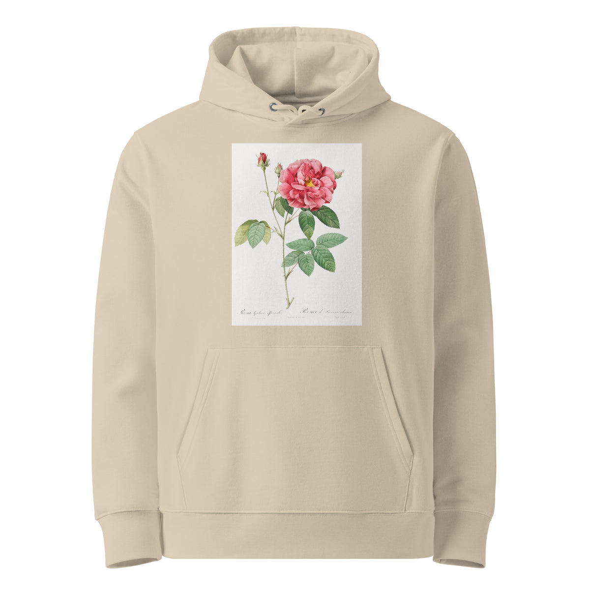 Desert Hoodie French Rose Also Known As Ordinary Provins Rosebush Rosa Galluca Offuenalis Premium
