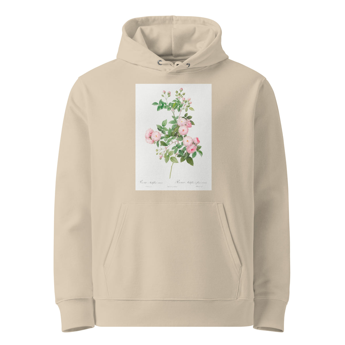 Desert Hoodie Flesh-Pink Multiflora Rosa Multiflora Carnea Premium