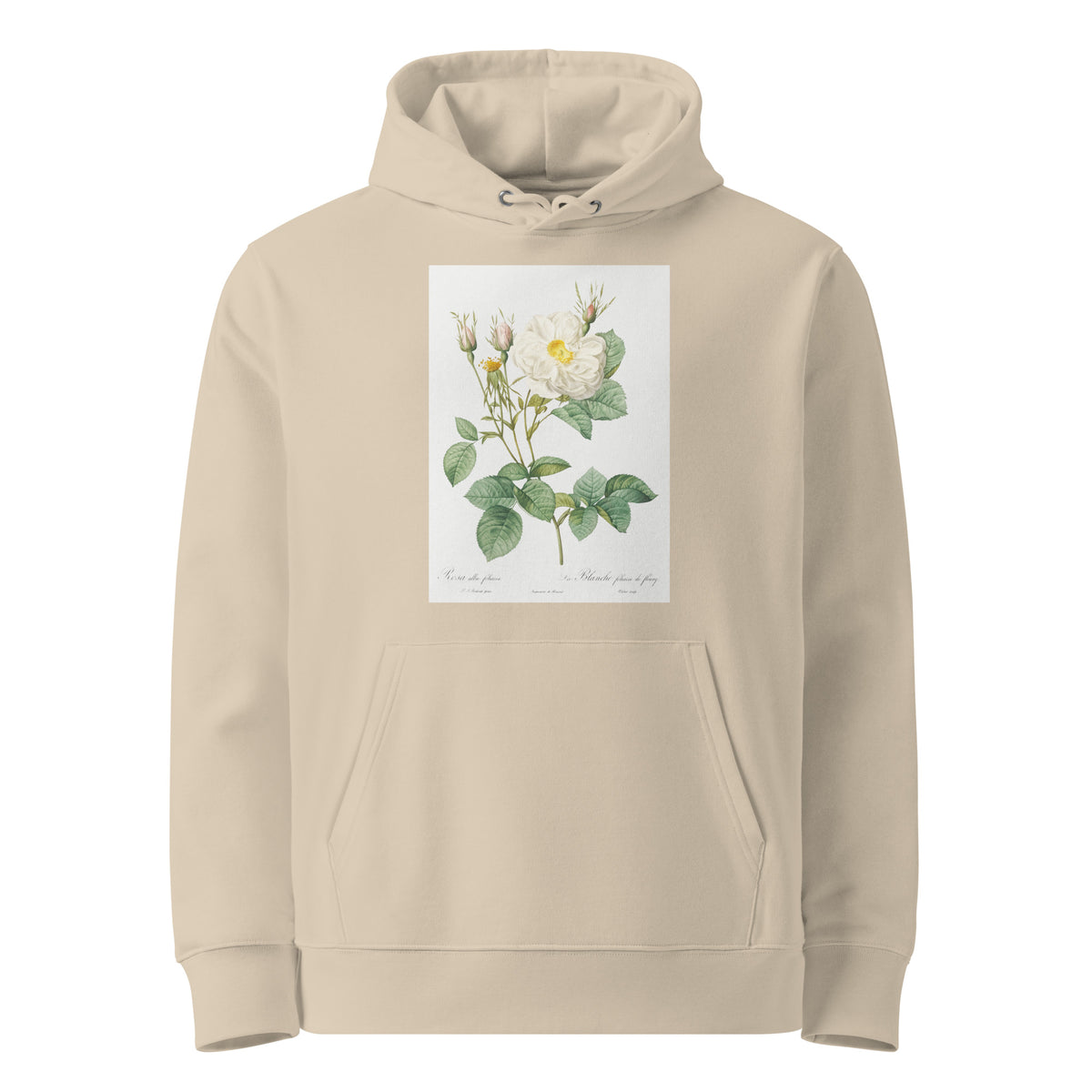 Desert Hoodie Rosa X Alba Also Known As The White Leaf Of Fleury Rosa Alba Foliacea Premium