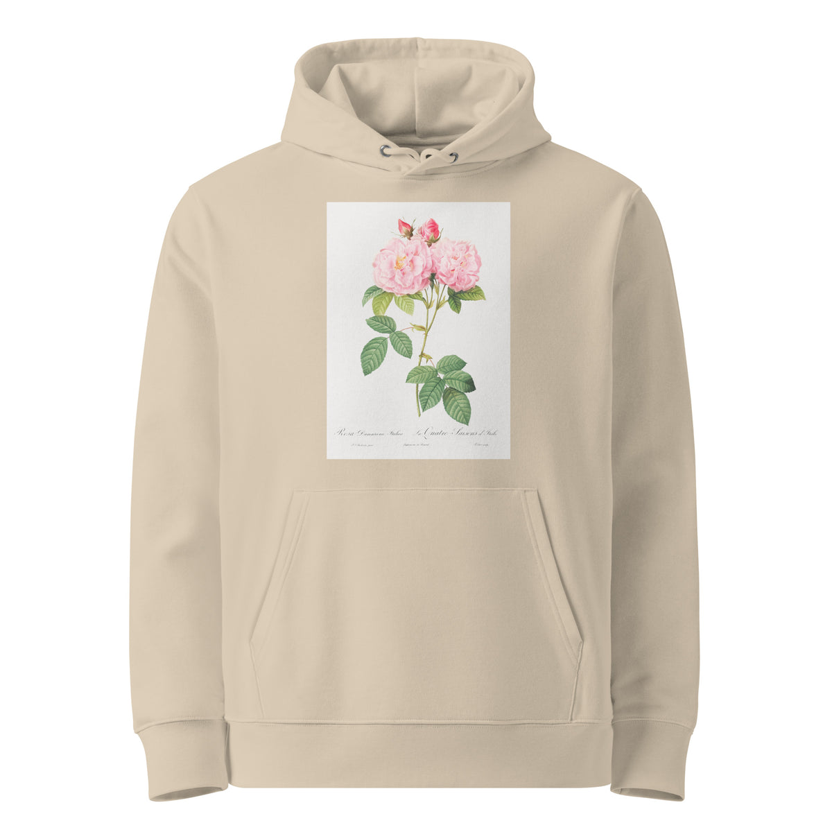Desert Hoodie Italian Damask Rose Also Known As The Four Seasons Of Italy Rosa Damascena Italica Premium