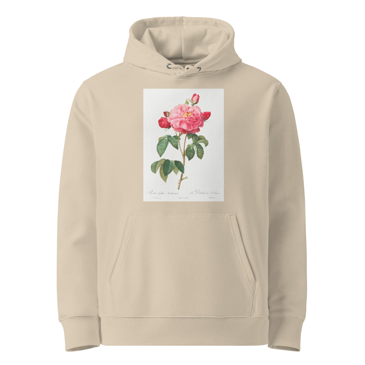 Desert Hoodie Gallic Rose Also Known As The Duchess Of Orleans Rosa Gallica Aurelianensis Premium