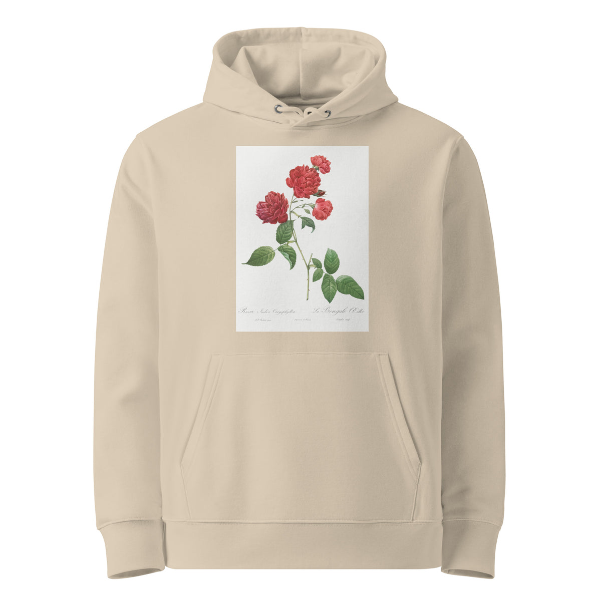 Desert Hoodie Red Cabbage Rose Also Known As Bengal Eyelet Rosa Indica Caryophyllea - Pierre-Joseph Redoute Original From The Library Of Congress 1817 Premium