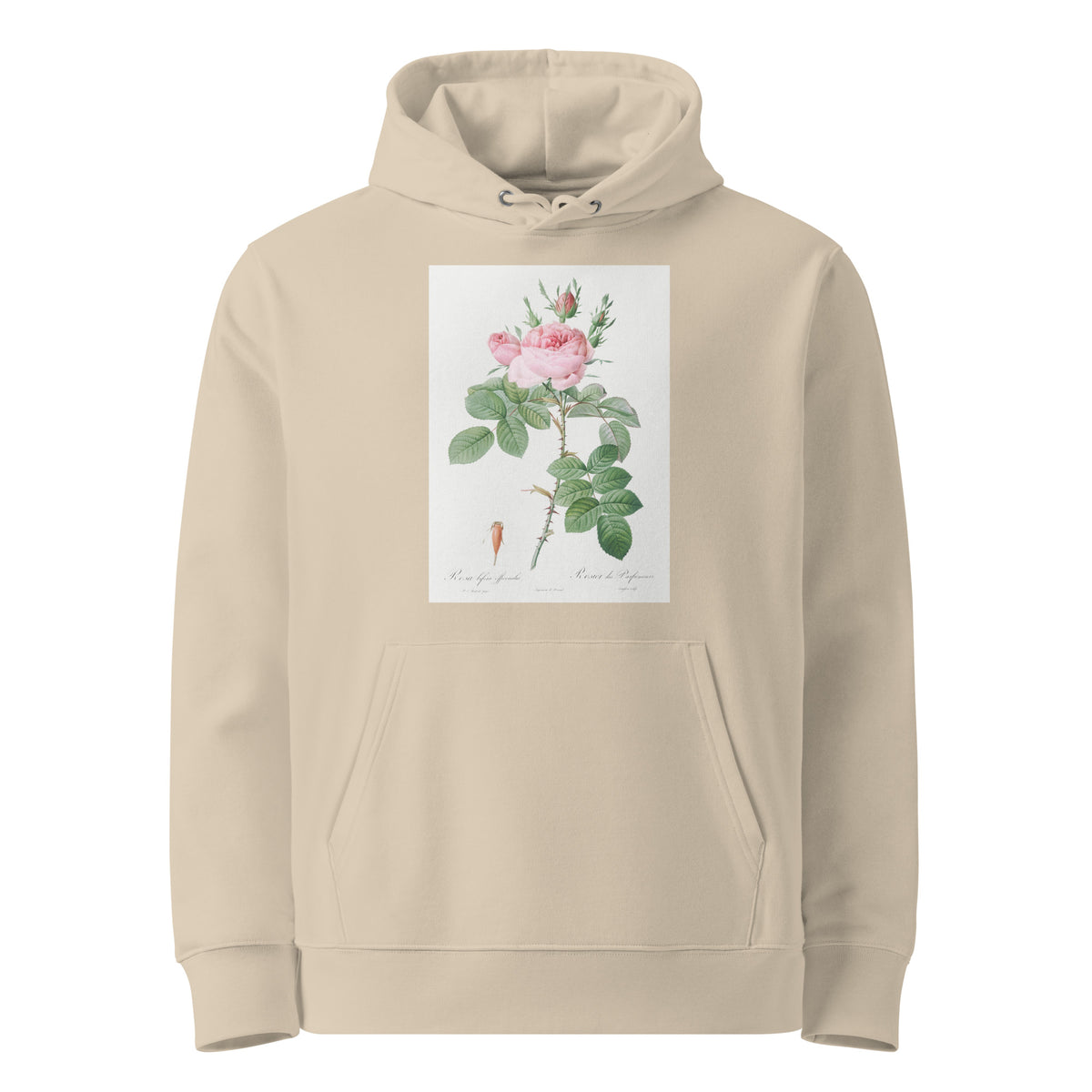 Desert Hoodie Rosa Bifera Officinalis Also Known As Rose Of Perfume Premium