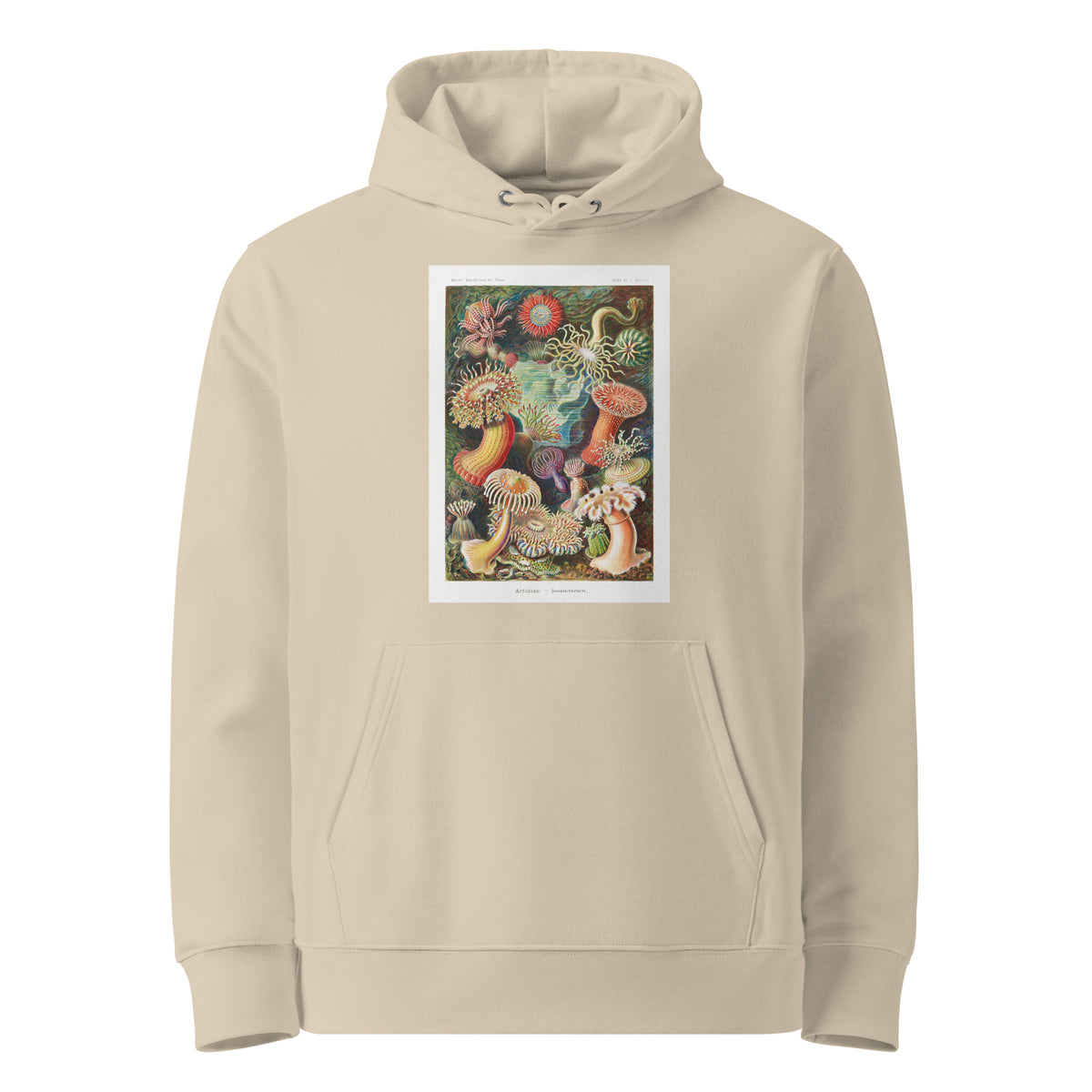 Desert Hoodie Actiniae Seeanemonen Premium
