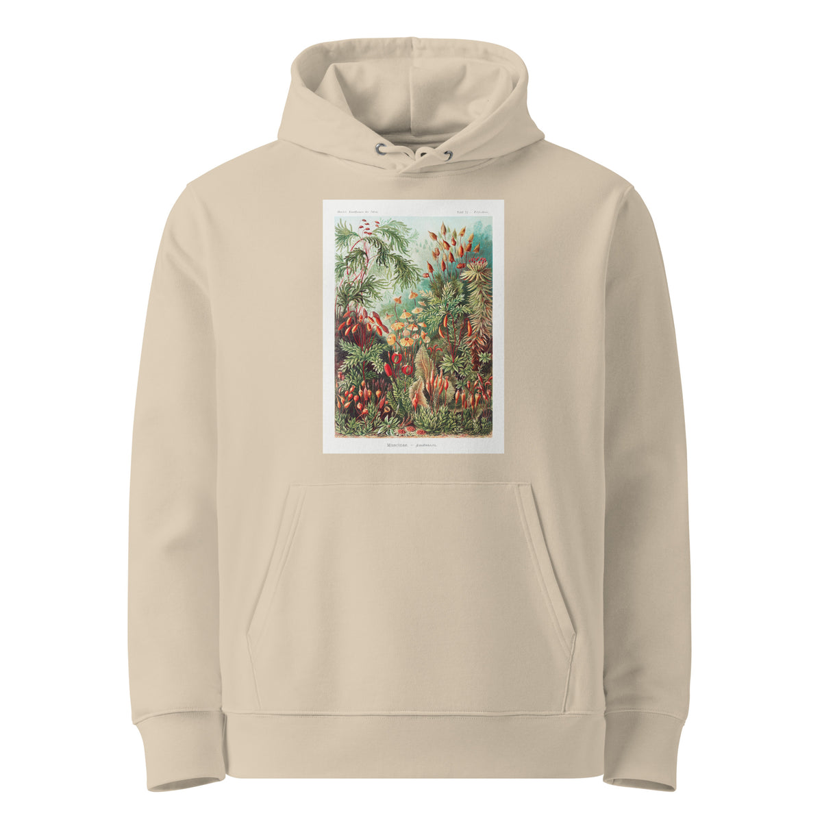 Desert Hoodie Muscinae Laubmoose A Giltsch Gem Premium