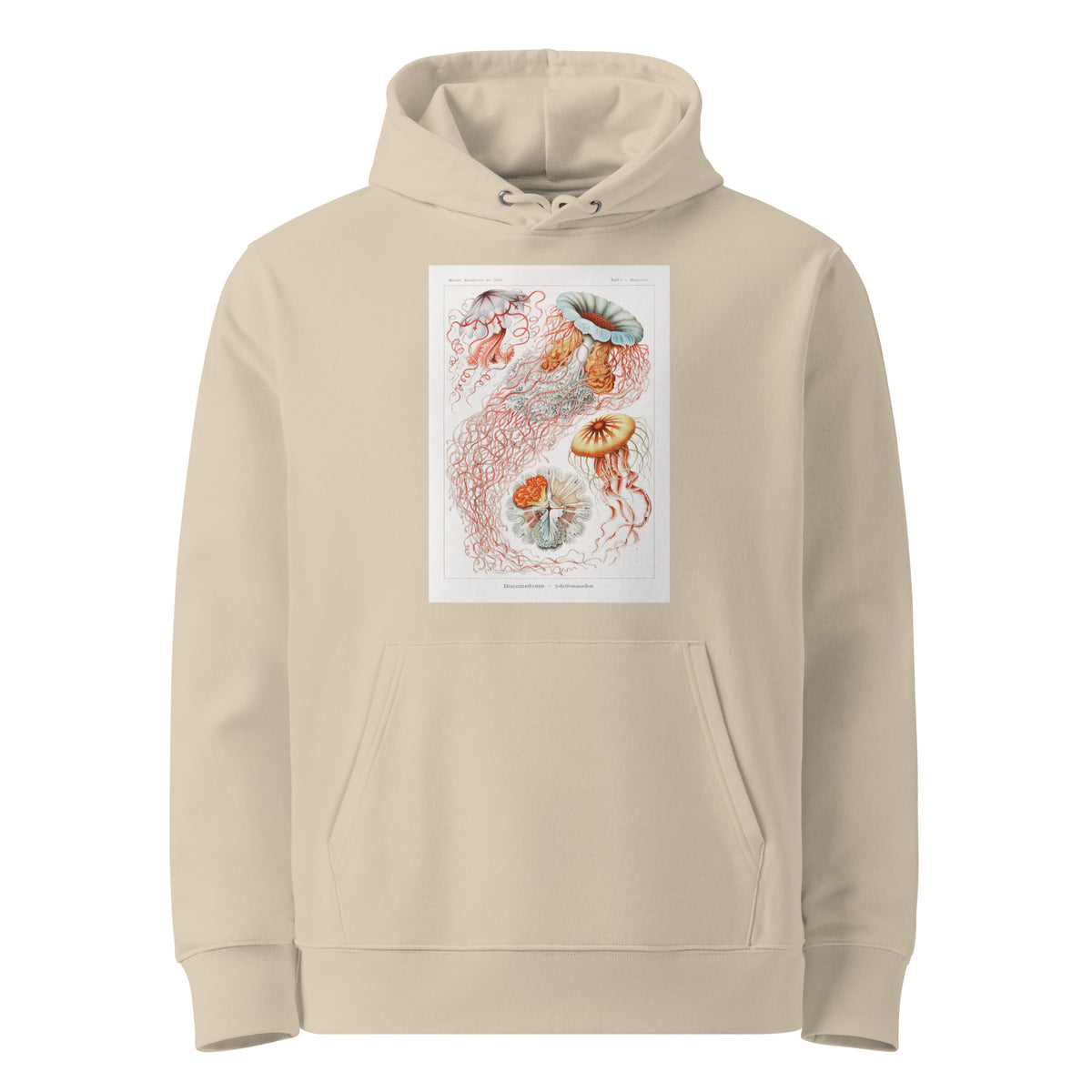 Desert Hoodie Discomedusae Scheibenquallen Premium
