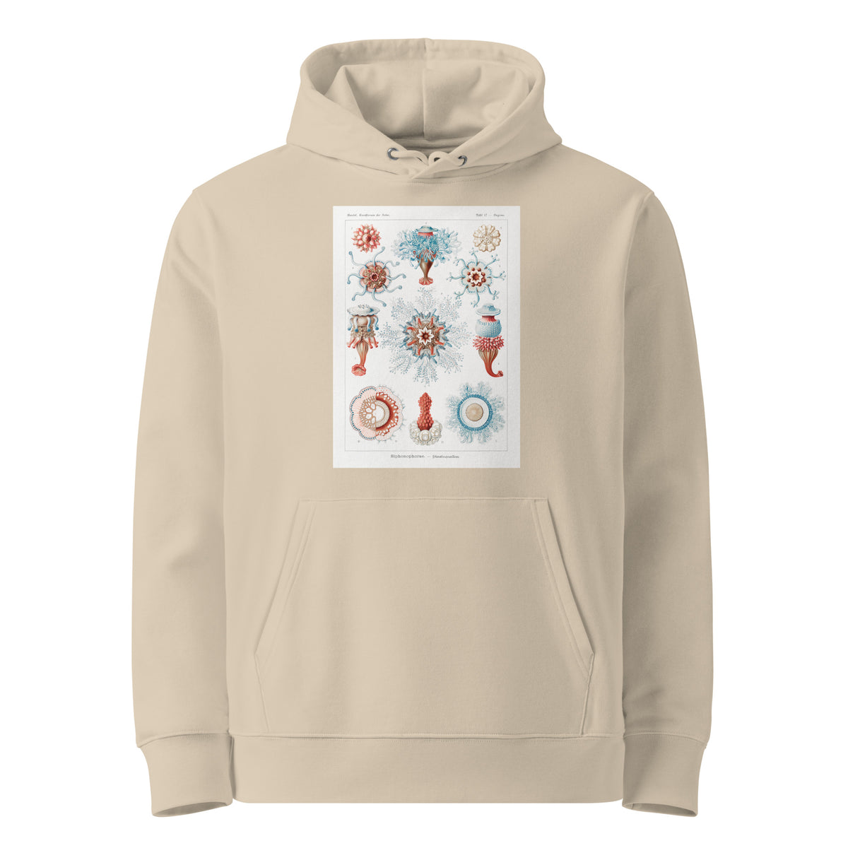 Desert Hoodie Siphonophorae Staatsquallen Premium