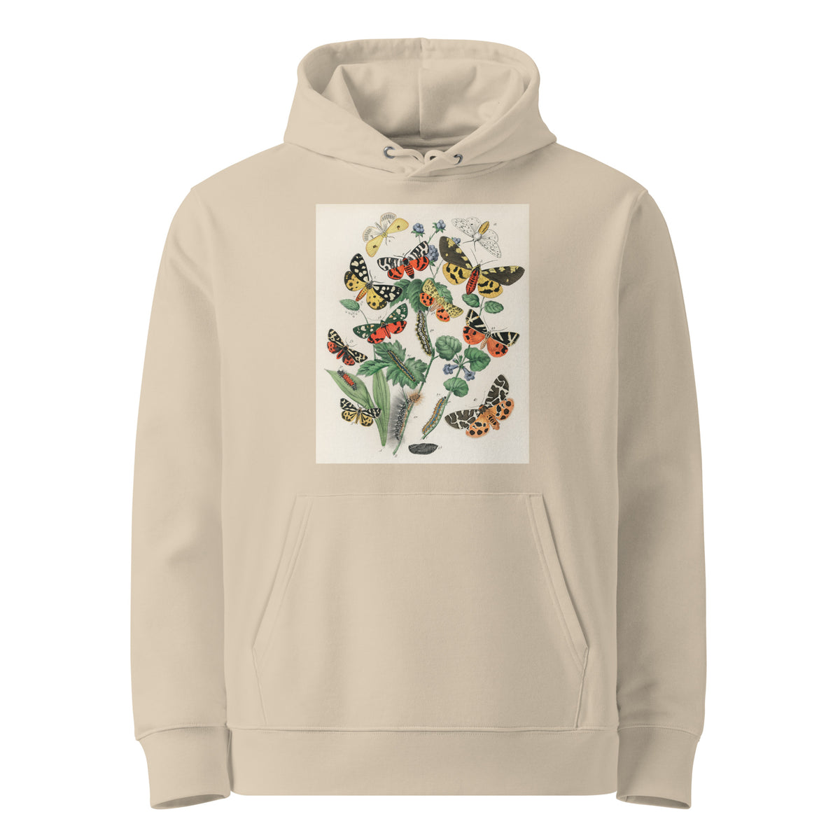 Desert Hoodie Illustrations - William Forsell Kirby 1882 Premium