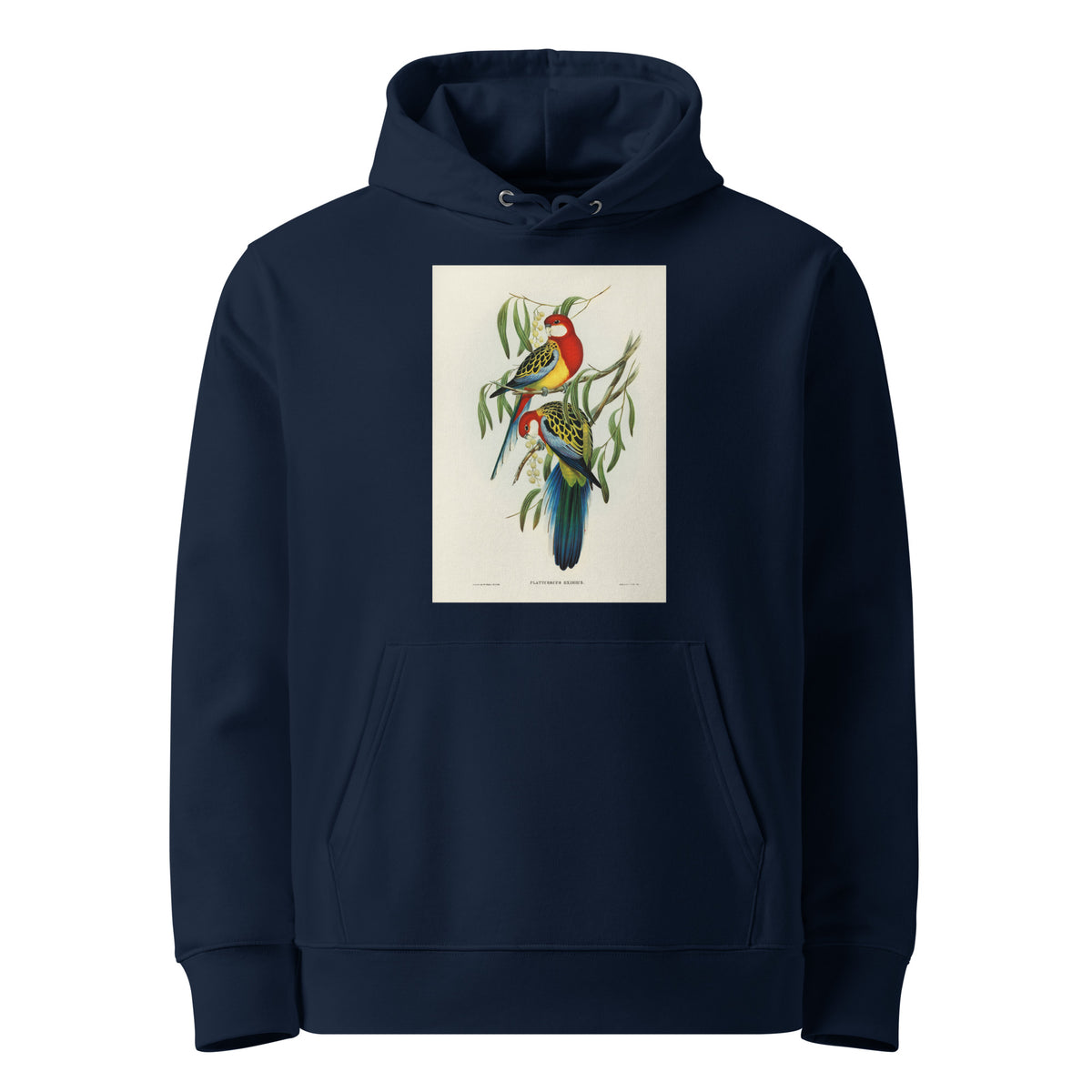Navy Hoodie Rose-Hill Parakeet Platycercus Eximius Illustrated - Elizabeth Gould 1804 Premium