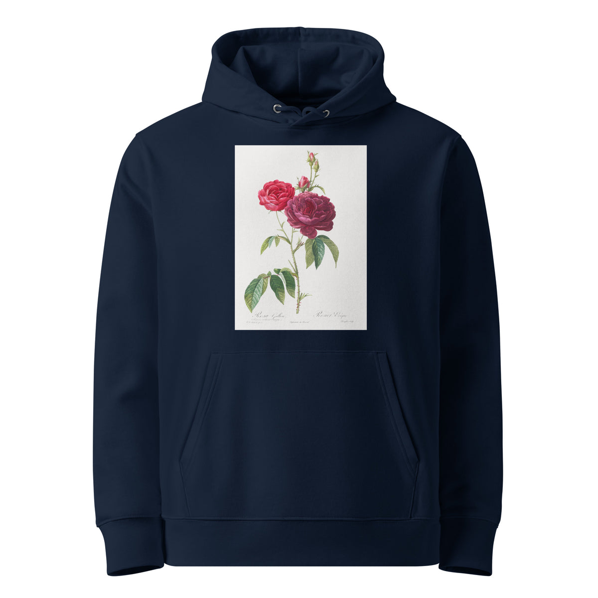 Navy Hoodie Purple French Rose Rosa Gallica Purpuro-Violacea Magna Premium