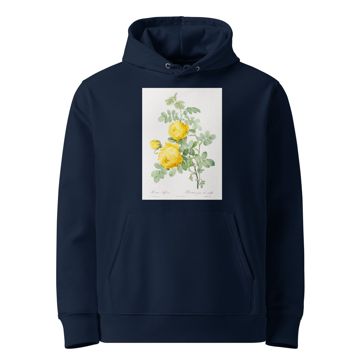 Navy Hoodie Rosa Hemisphaerica Also Known As Yellow Rose Of Sulfur Rosa Sulfurea Premium
