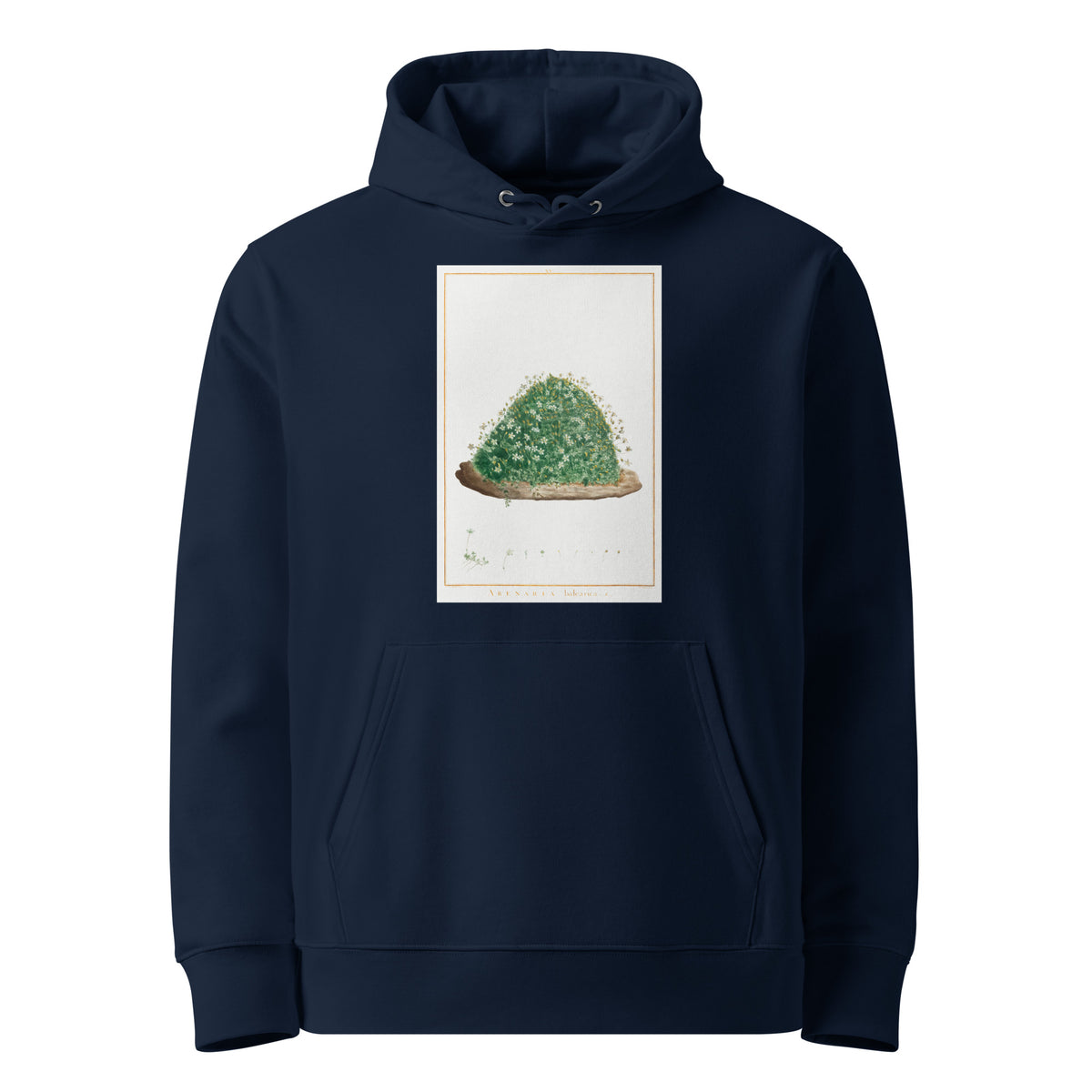 Navy Hoodie Arenaria Balearica Image - Pierre-Joseph Redoute And Charles Louis L Heritier 1784 Premium