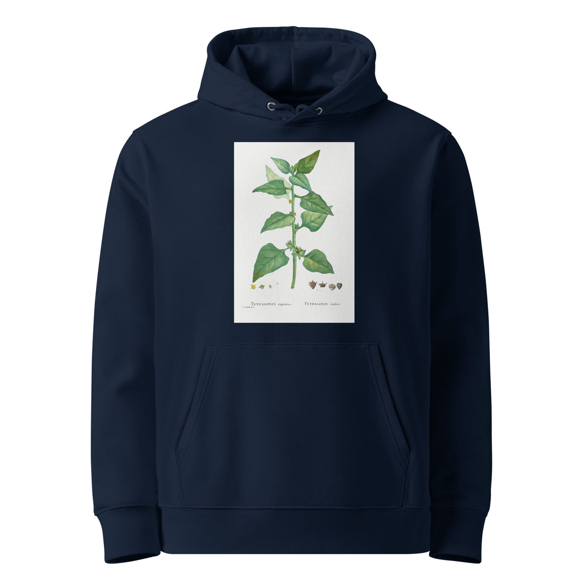Navy Hoodie Tetragonia Expansa New Zealand Spinach Premium