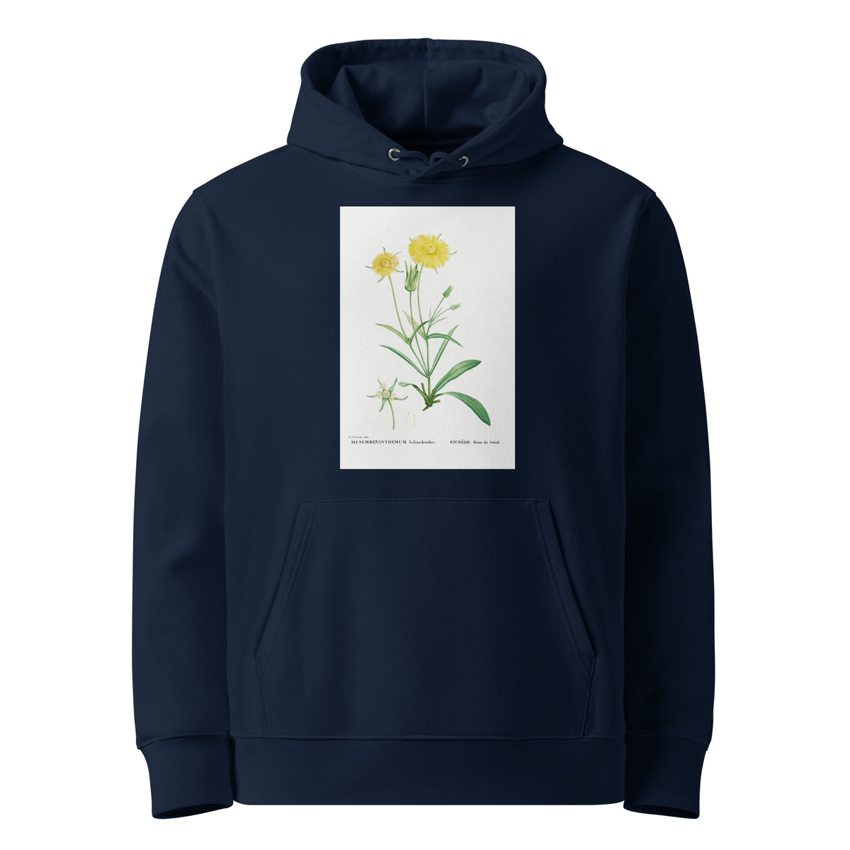 Navy Hoodie Mesembryanthemum Helianthoides Spatula Leaved Fig Marigold - Pierre-Joseph 1799 Premium