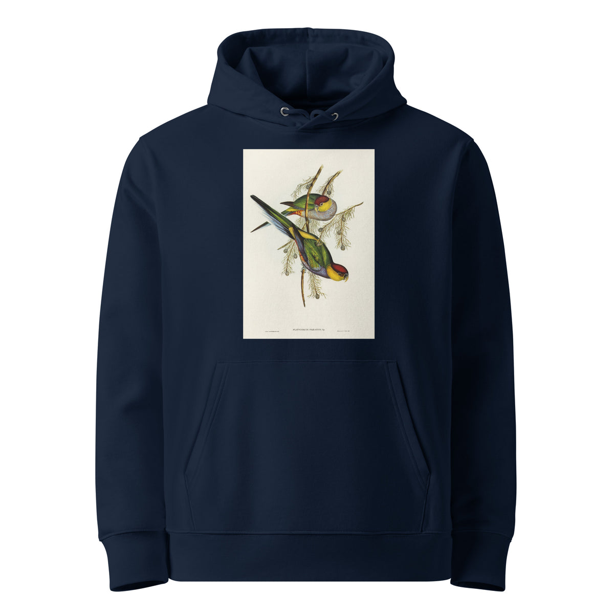 Navy Hoodie Red-Capped Parakeet Platycercus Pileatus Illustrated - Elizabeth Gould 1804 Premium