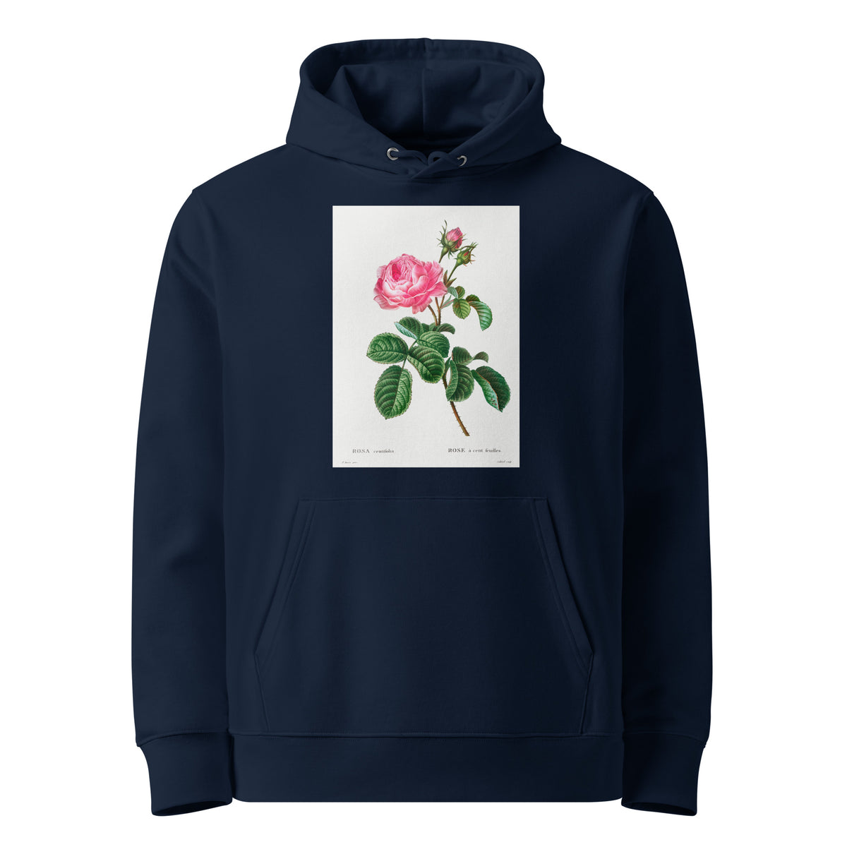 Navy Hoodie Cabbage Rose Rosa Centifolia Premium