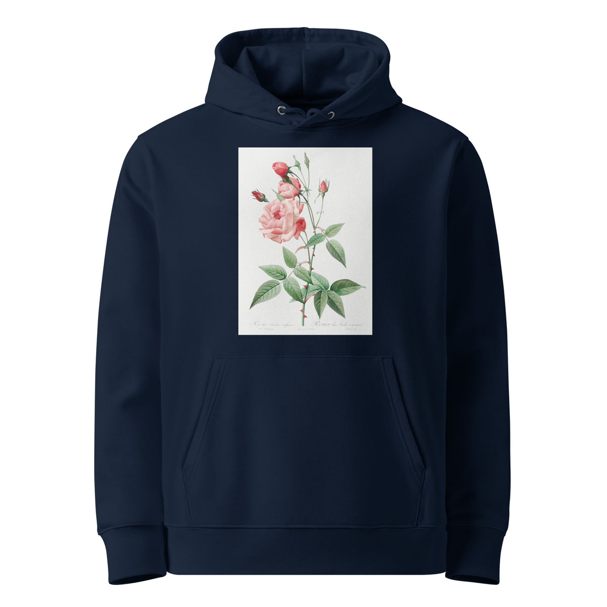 Navy Hoodie Old Blush China Also Known As Common Rose Of India Rosa Indica Vulgaris Premium