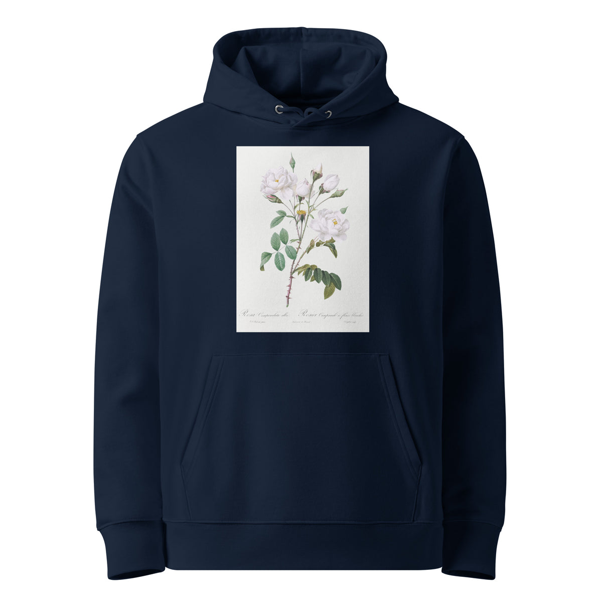Navy Hoodie Rosa Campanulata Alba Also Known As Pink Bellflowers To White Flowers Premium