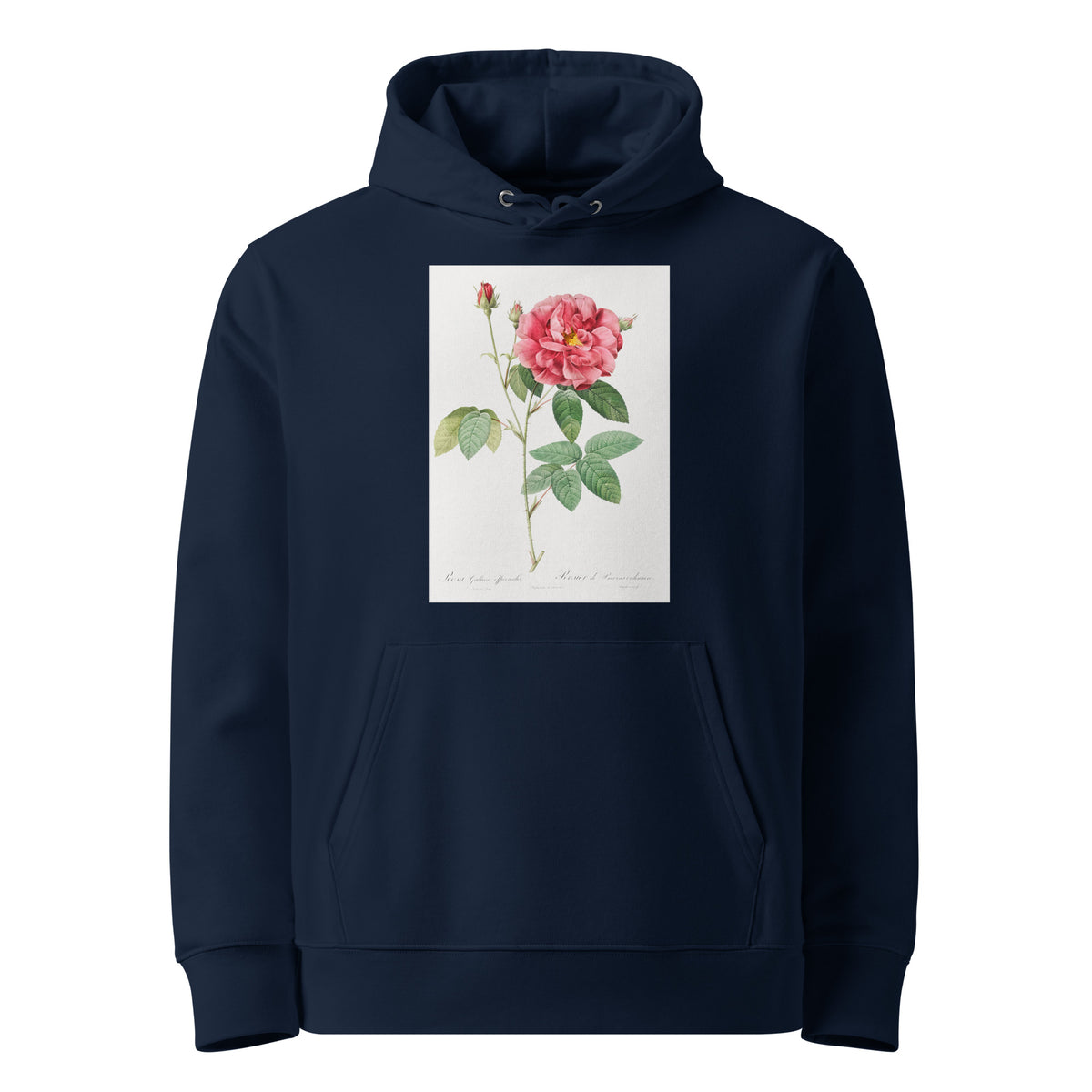 Navy Hoodie French Rose Also Known As Ordinary Provins Rosebush Rosa Galluca Offuenalis Premium