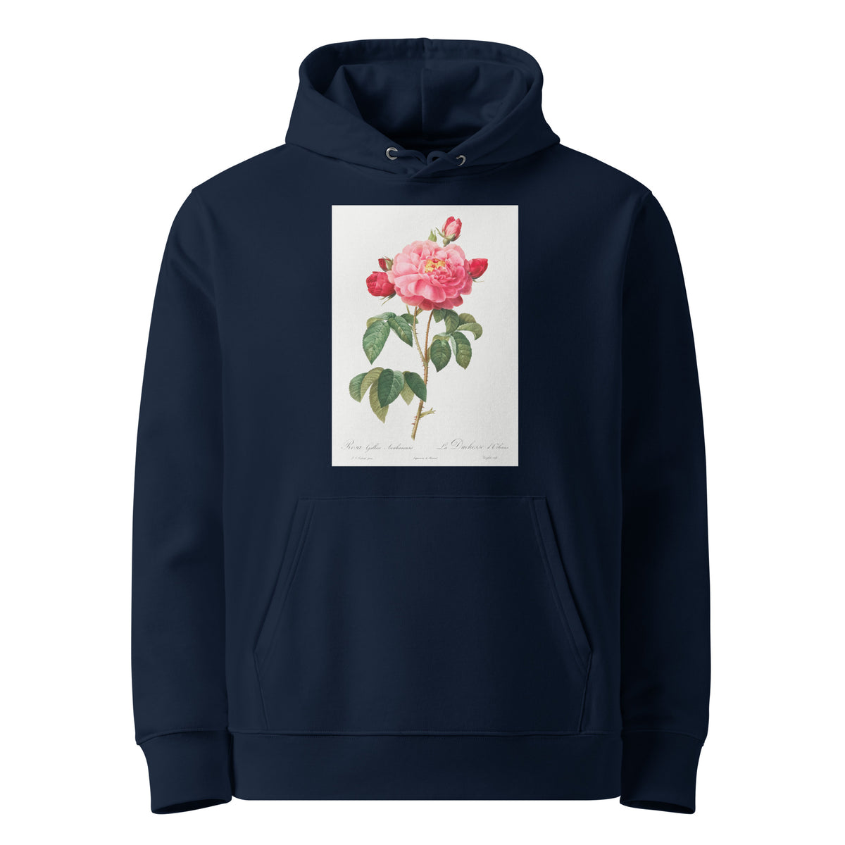 Navy Hoodie Gallic Rose Also Known As The Duchess Of Orleans Rosa Gallica Aurelianensis Premium
