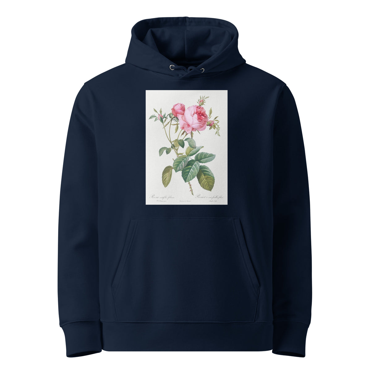 Navy Hoodie Rose De Mai Rosa Centifolia Foliacea Premium