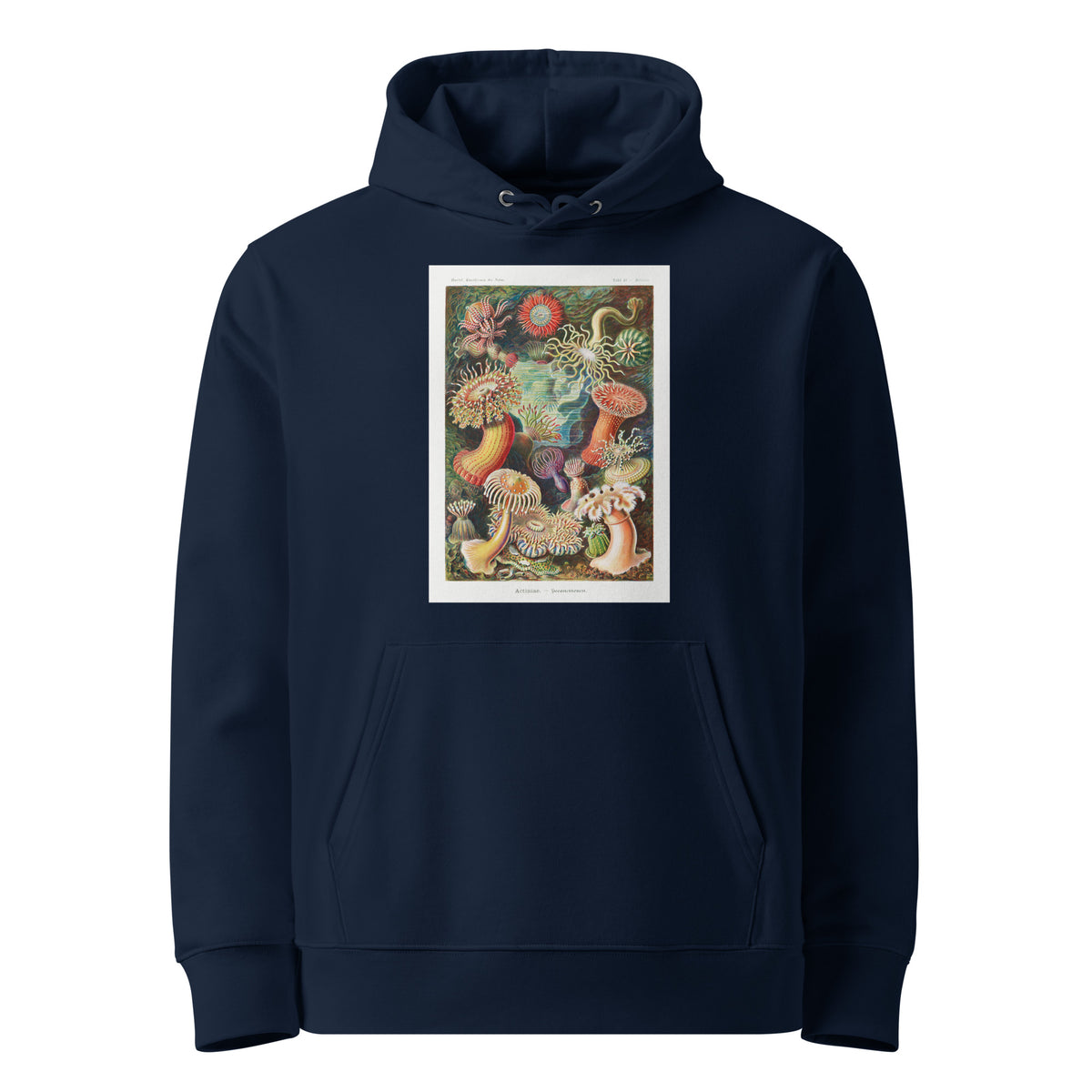 Navy Hoodie Actiniae Seeanemonen Premium