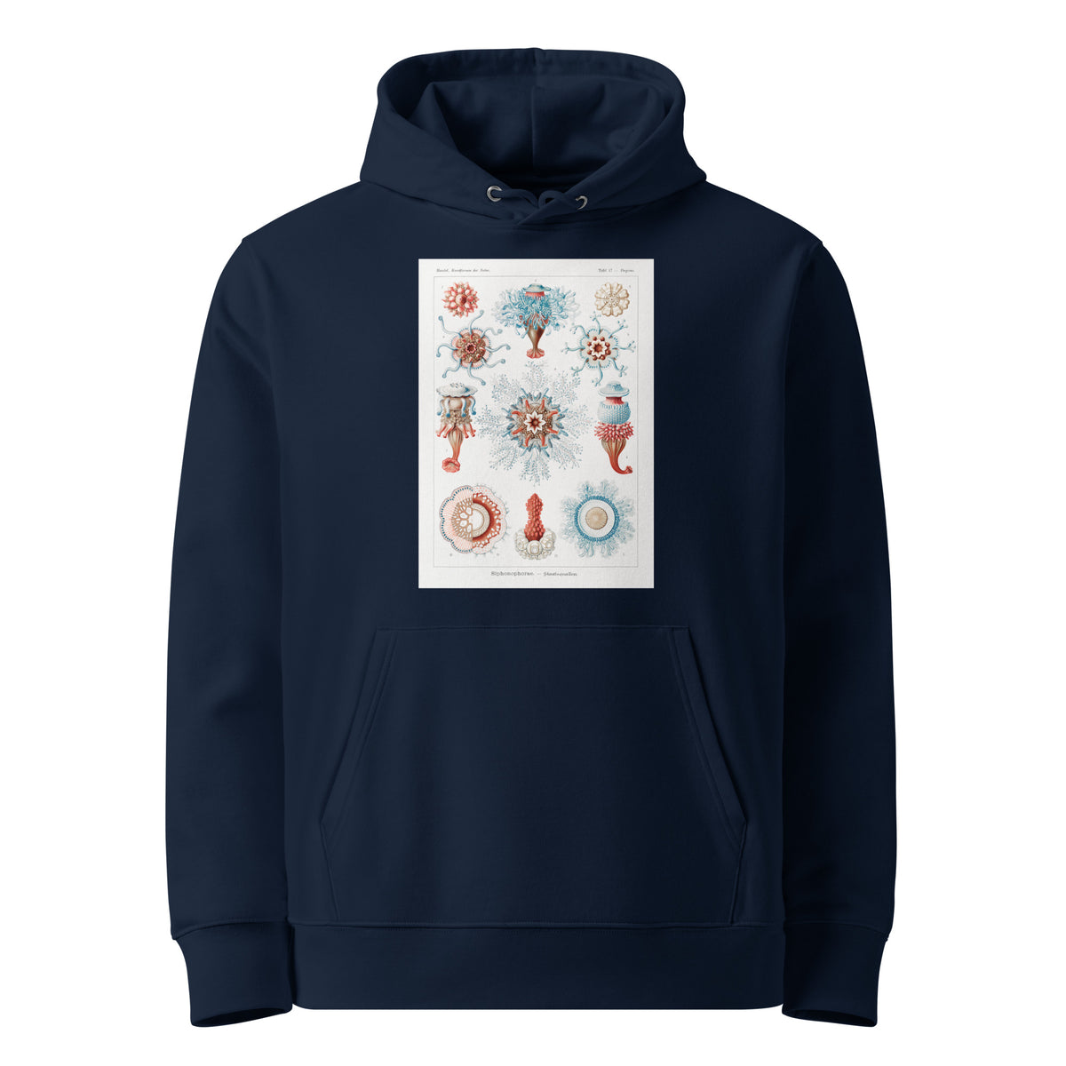 Navy Hoodie Siphonophorae Staatsquallen Premium