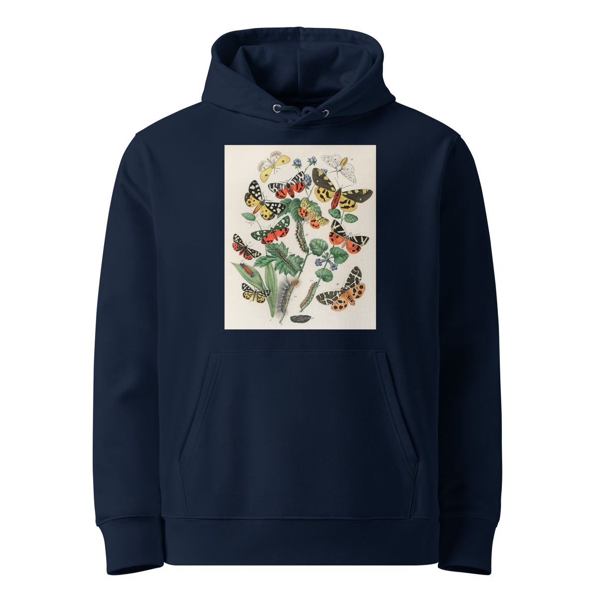 Navy Hoodie Illustrations - William Forsell Kirby 1882 Premium