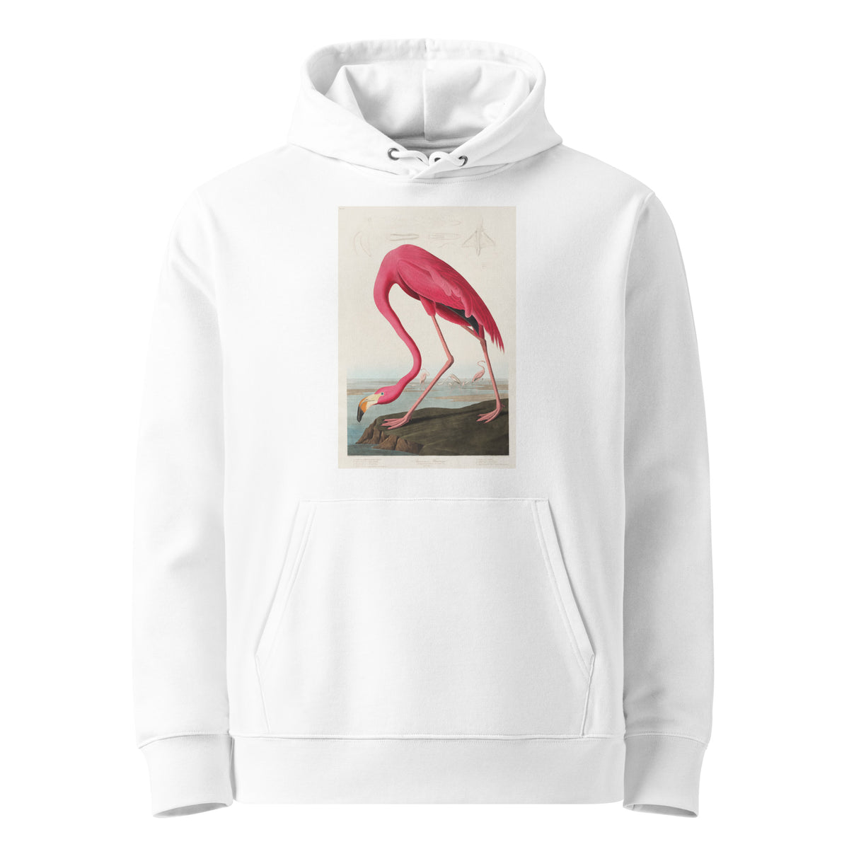 White Hoodie Pink Flamingo - John James Audubon 1827 Premium