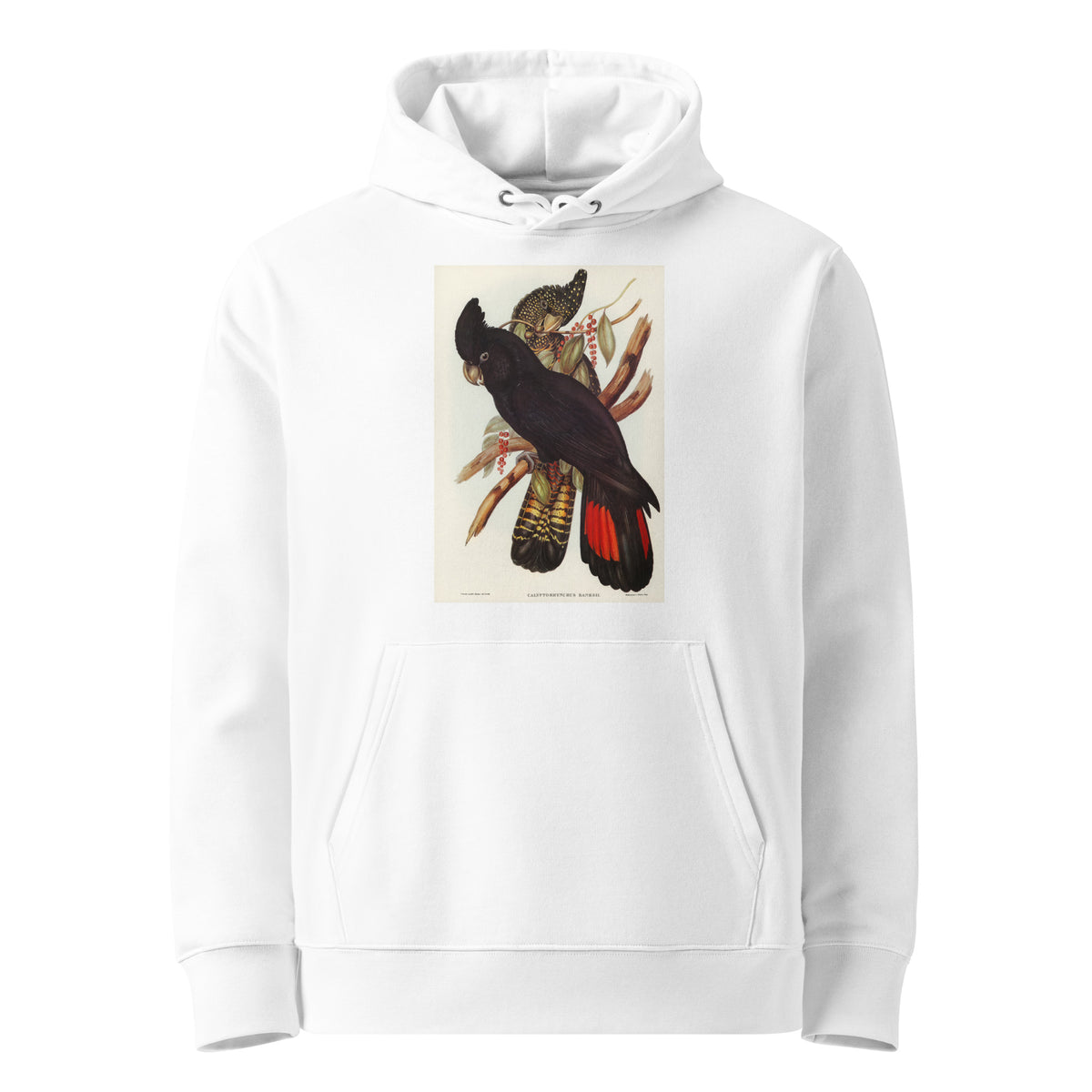 White Hoodie Banksian Cockatoo Calyptorhynchus Banksii Illustrated - Elizabeth Gould 1804 Premium