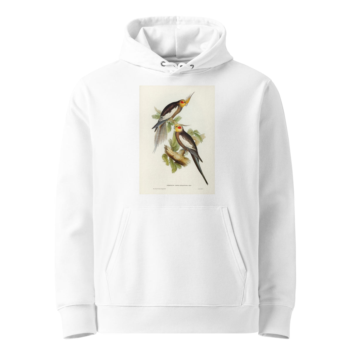 White Hoodie Cockatoo Parakeet Nymphicus Novae Hollandiae Illustrated - Elizabeth Gould 1804 Premium