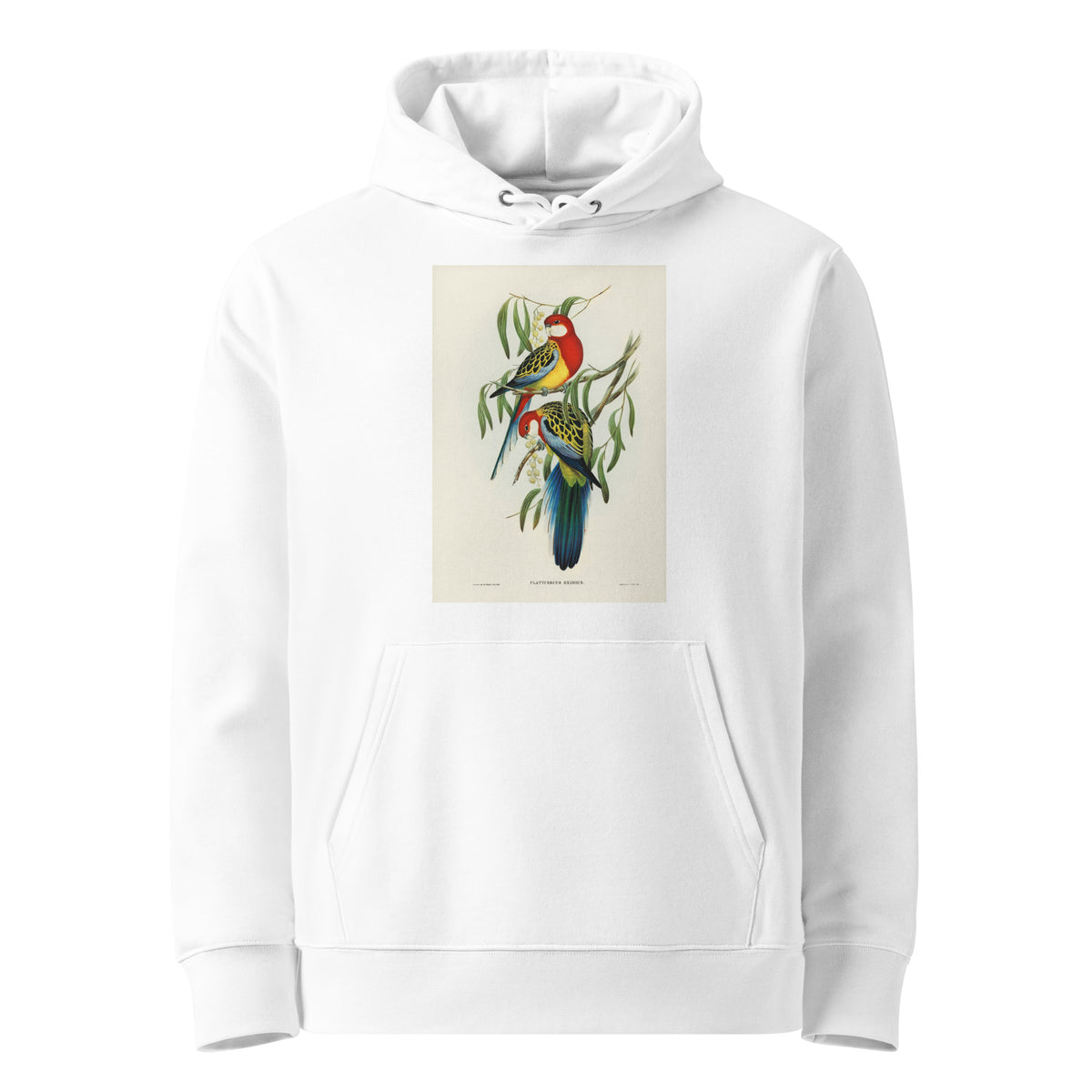 White Hoodie Rose-Hill Parakeet Platycercus Eximius Illustrated - Elizabeth Gould 1804 Premium