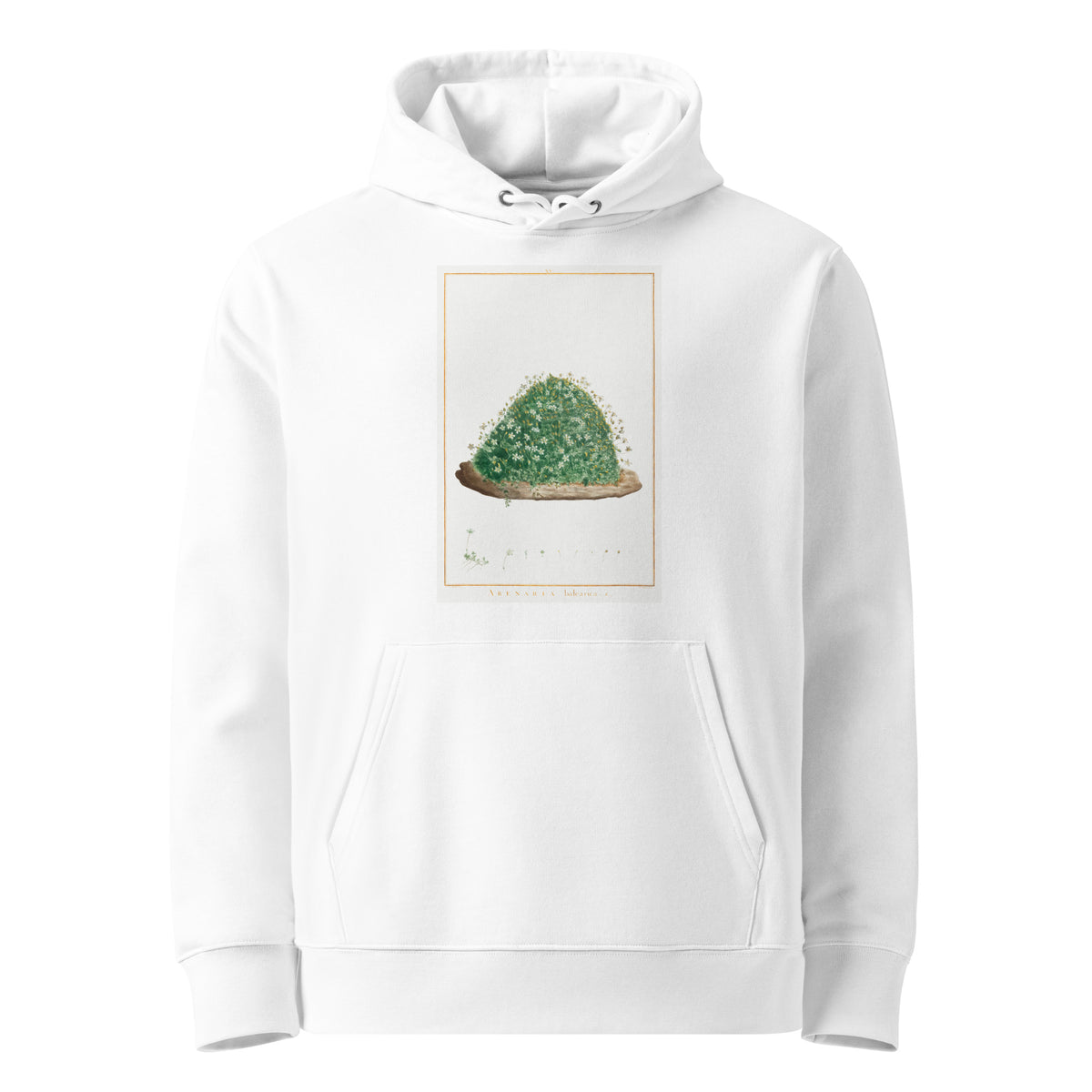White Hoodie Arenaria Balearica Image - Pierre-Joseph Redoute And Charles Louis L Heritier 1784 Premium