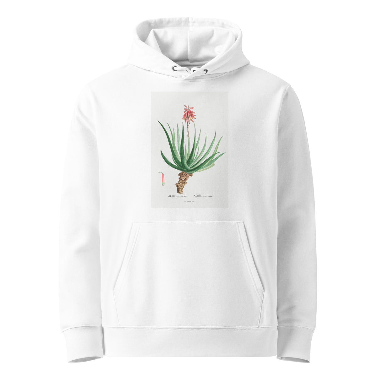 White Hoodie Aloe Socotrina Image Premium