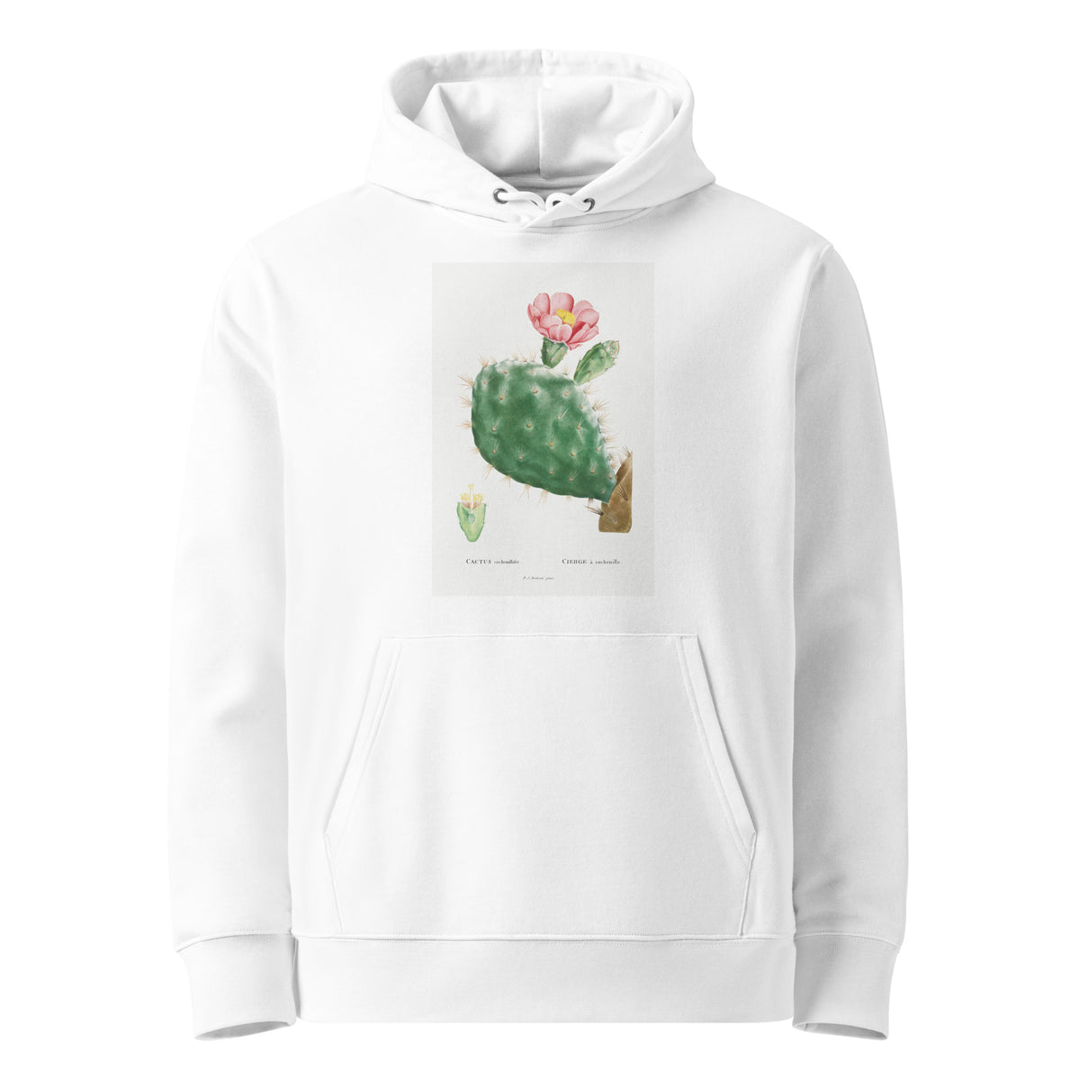 White Hoodie Cactus Cochenillifer Image Premium