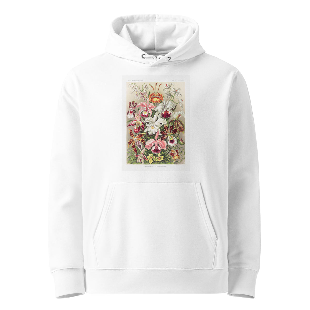 White Hoodie Orchideae Denusblumen A Giltsch Gem Premium