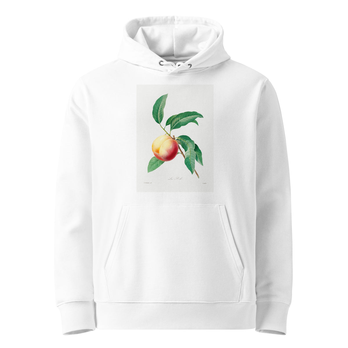 White Hoodie Peach Fruit On A Branch - Pierre-Joseph Redoute 1759 Premium