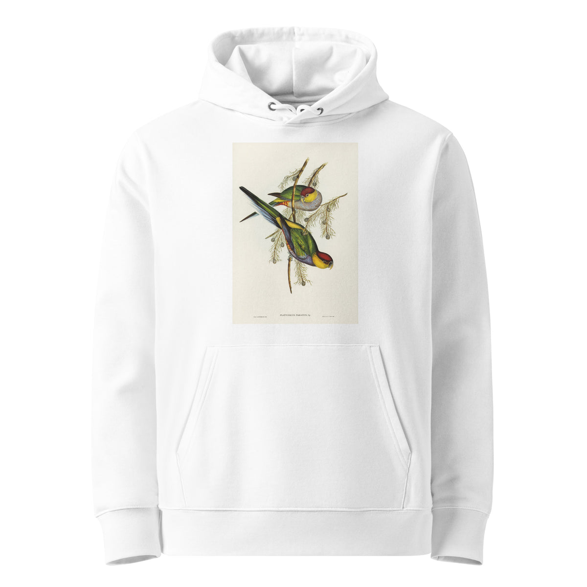 White Hoodie Red-Capped Parakeet Platycercus Pileatus Illustrated - Elizabeth Gould 1804 Premium