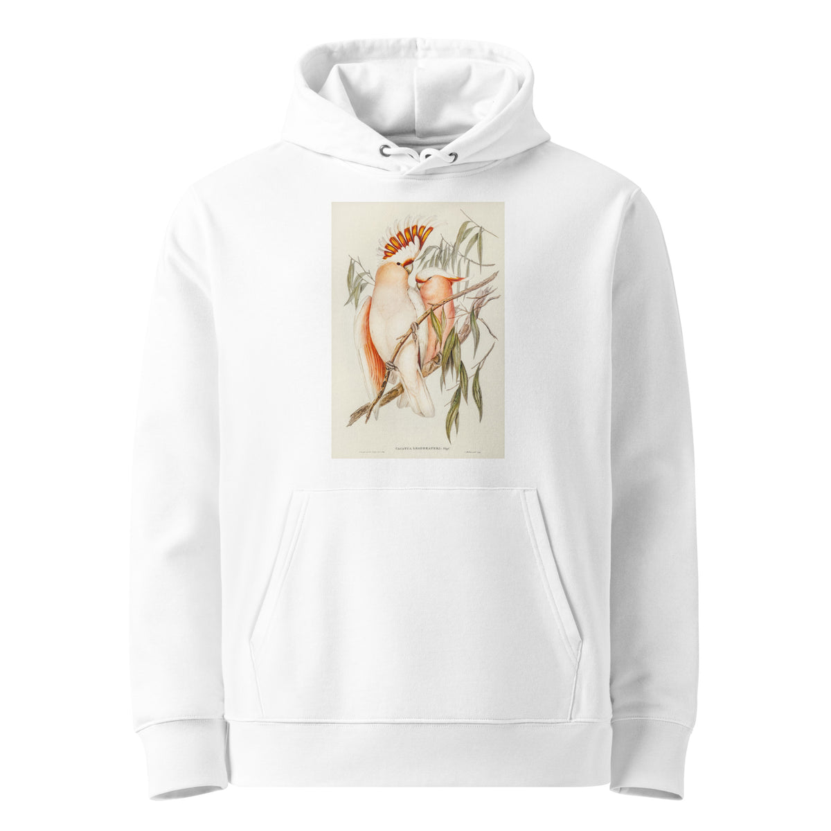 White Hoodie Leadbeater S Cockatoo Cacatua Leadbeaterii Illustrated - Elizabeth Gould 1804 Premium