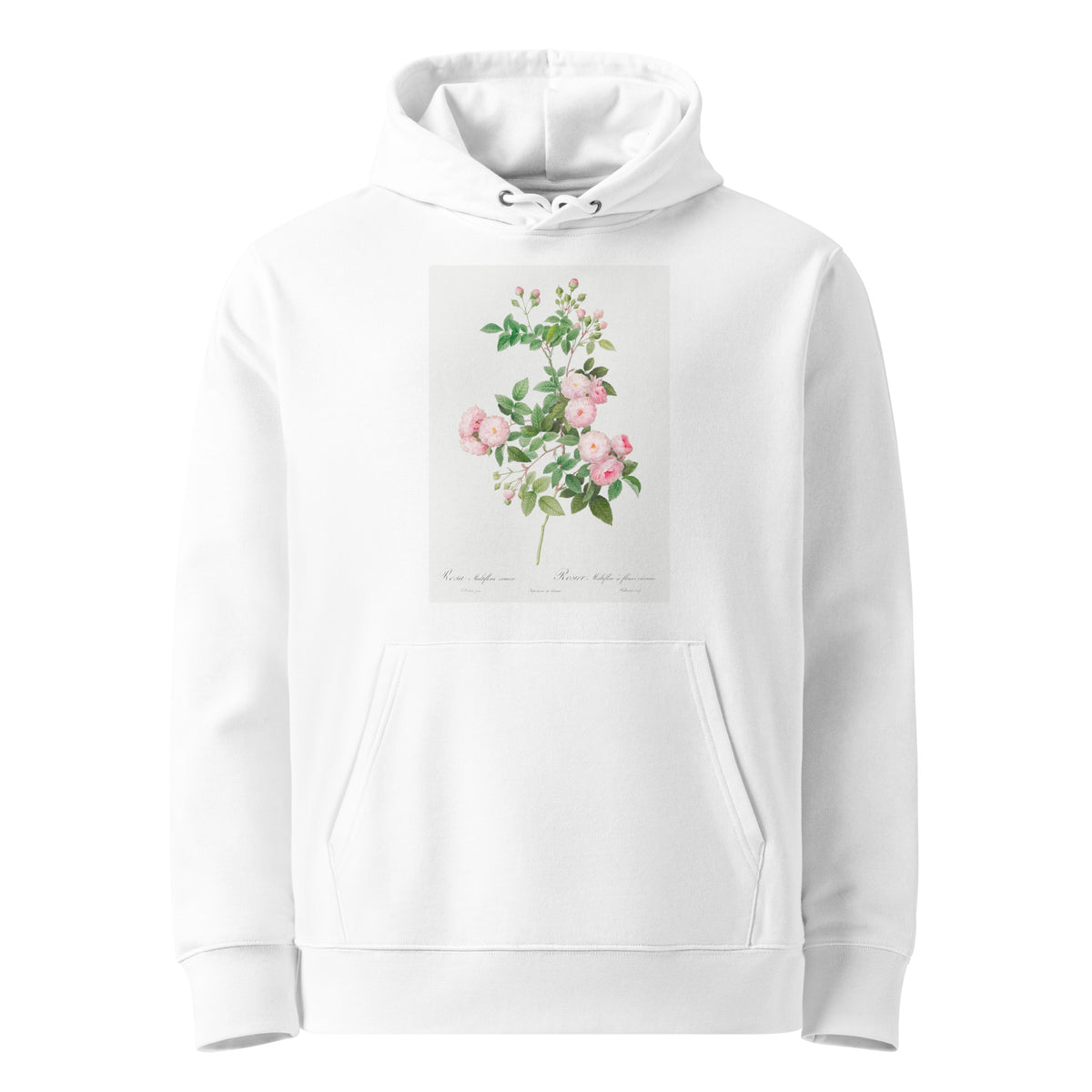White Hoodie Flesh-Pink Multiflora Rosa Multiflora Carnea Premium