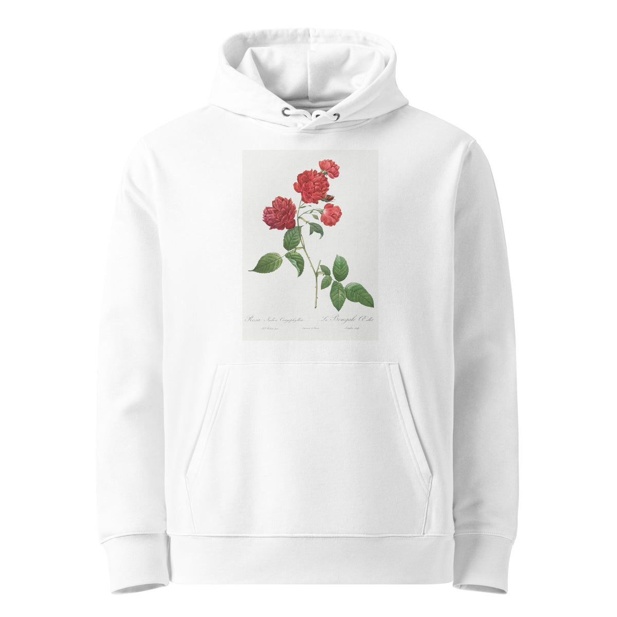 White Hoodie Red Cabbage Rose Also Known As Bengal Eyelet Rosa Indica Caryophyllea - Pierre-Joseph Redoute Original From The Library Of Congress 1817 Premium