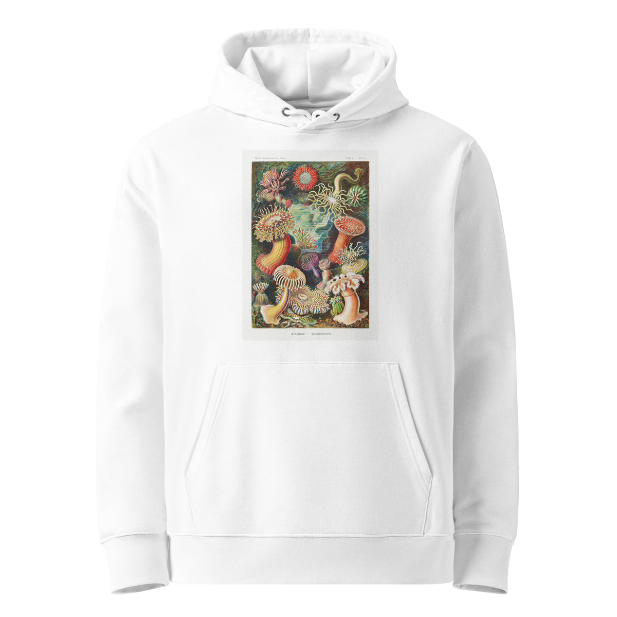 White Hoodie Actiniae Seeanemonen Premium