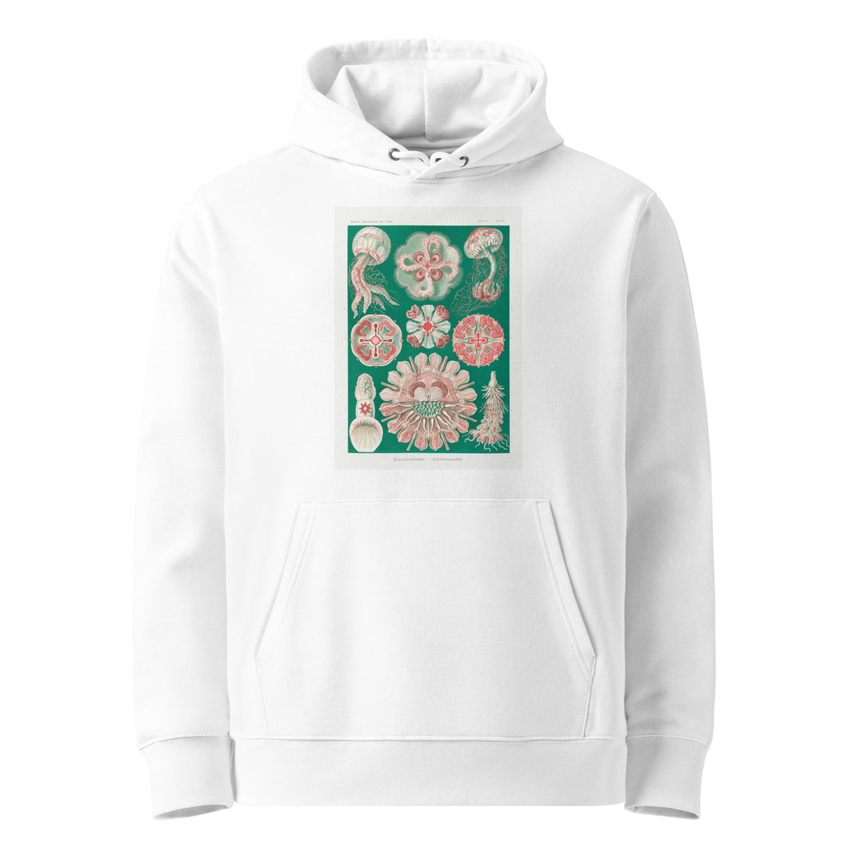 White Hoodie Discomedusae Schweibenquallen Premium